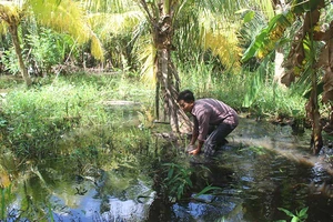 Bến Tre: Thi công quốc lộ, hàng chục hộ dân kêu cứu