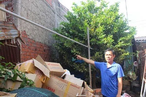 Thắng kiện vẫn chưa đòi được đất