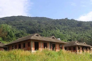 Ngưng chuyển nhượng dự án ở Sơn Trà để thanh tra