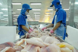 Nguy cơ thủy sản bị ‘vạ lây’ tàu Trung Quốc