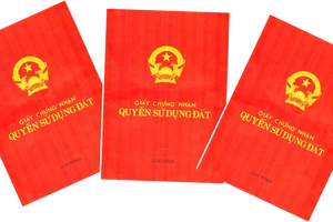 15 tuổi có được quyền đứng tên sổ đỏ? 