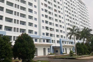 Căn hộ đang ở bỗng có thông báo phát mại