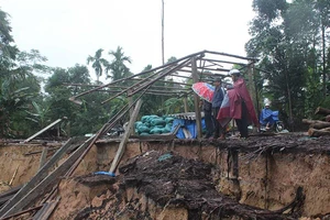 Khốn khổ vườn tược bị cuốn xuống sông