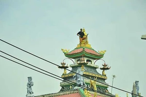 Ngáo đá, tái nghiện: Khó quản