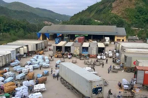 Mất cả triệu USD vì thiếu cẩn trọng