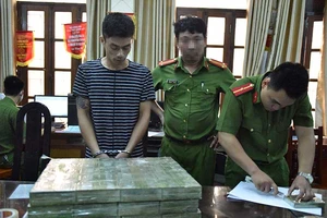 Sản xuất ma túy đang gia tăng trở lại