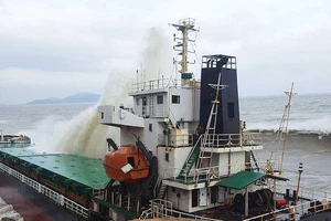 Hợp đồng mua bán tàu đắm sai luật