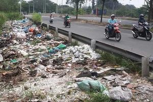 Không khỏe nổi vì đường phố ngập rác