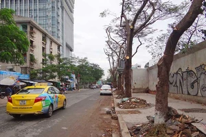 Công trình cuối năm… tàn sát cây xanh!