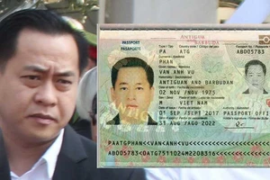 Đã bắt Vũ ‘nhôm’