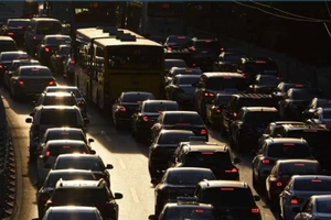 Các nước giải bài toán xăng sinh học 