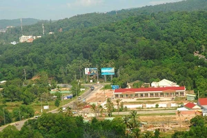 Thời hạn thuê đất ở đặc khu 99 hay 70 năm?