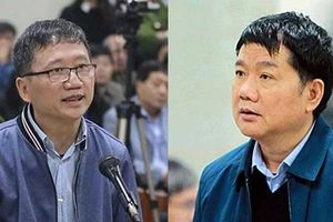 Các luật sư nói thân chủ không cố ý làm trái