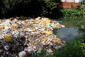 TP.HCM: Nhiều kênh ‘chết’ sẽ hồi sinh