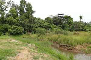 Đất sang tên chủ mới ‘rơi’ mất 33 m2