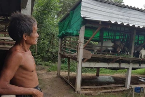 Đời kỳ lạ của tỉ phú không tiền