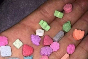 C47 nói về ma túy ‘quả dâu tây’ vào học đường