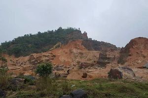 Buộc phục hồi 16 ha rừng đặc dụng đèo Cả