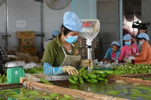 Mỹ giảm thuế, siết nhập khẩu: VN bị ảnh hưởng sao?