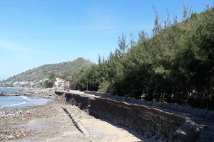 Cán bộ cấp giấy sai cho 2.500 m2 đất ở Vũng Tàu