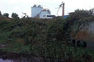 Giải quyết ô nhiễm ở điểm nóng Đồng Nai giáp Bình Thuận