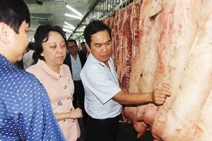 Chặn đứng thịt bẩn, chả dỏm từ cửa ngõ TP.HCM