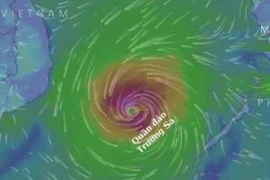 Có thể xảy ra bão số 2 trong dịp Tết