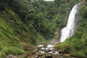 Thác Philieng - Chốn rừng thiêng im tiếng nghìn thu