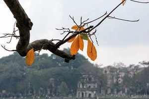 Lời chào còn lại của phố