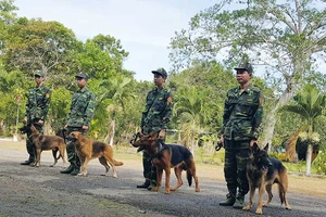 Những Chiến binh quả cảm