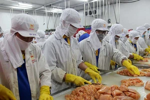 Năm 2018, TP.HCM tập trung tạo đột phá