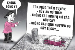 Án bị hủy vì… một gốc me, một gốc cau