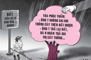 Đòi cả vườn nhưng được trả 420 cây mít