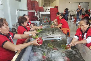 Trung Quốc truy ‘lý lịch’ gạo, chuối, xoài... Việt Nam