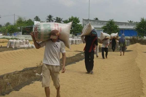 Xóa đặc quyền, đặc lợi bán gạo của VFA!