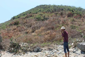 Chưa lên đặc khu đã náo loạn gom đất