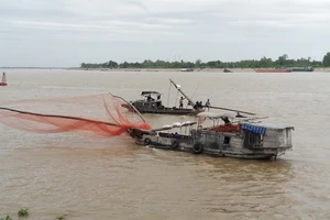 Thiếu bến đậu, hàng trăm tàu thuyền lênh đênh giữa sông Tiền