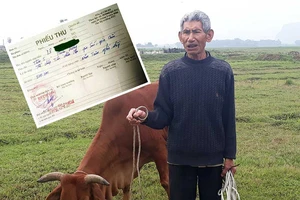 Trâu bò ra đồng ăn cỏ, chủ phải đóng phí!