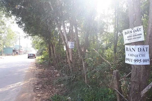 Những chuyện buồn từ cơn sốt đất ở Phú Quốc