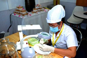 Việt Nam bỏ quên đặc sản yến sào ‘tiến vua’