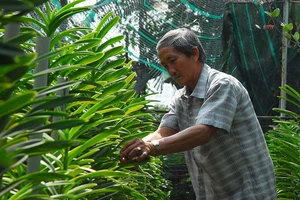 Đồng bộ các giải pháp xây dựng nông thôn mới và giảm nghèo