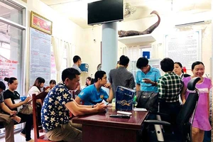 Những chuyện lạ từ cơn sốt đất ở Phú Quốc