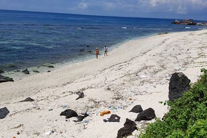 Lo lắng dự án FLC chồng Công viên địa chất Lý Sơn