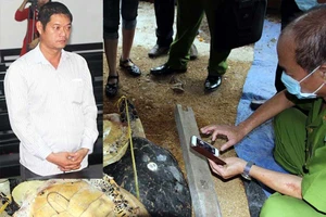 Xử vụ tàng trữ xác rùa biển: Liên tục gặp vướng