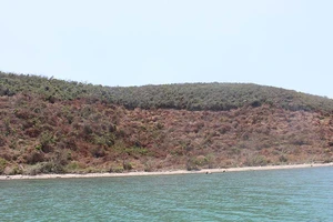 Cử cán bộ ‘nằm vùng’ ngăn sốt đất Vân Phong