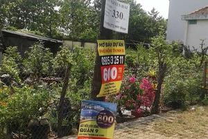 Treo quảng cáo lên cây sẽ bị phạt