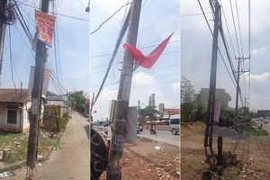 Nhiều trụ cáp sắp gãy!