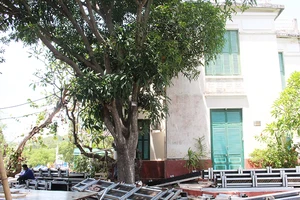 Ai phá nát ‘ruột’ di tích lầu Bảo Đại ở Khánh Hòa?