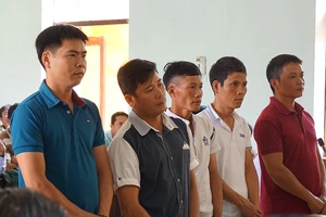 Hôm nay tuyên án vụ cưa gỗ khô bị quy tội trộm