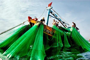 Lại muốn đổ 1 triệu m3 bùn, cát xuống biển Bình Thuận